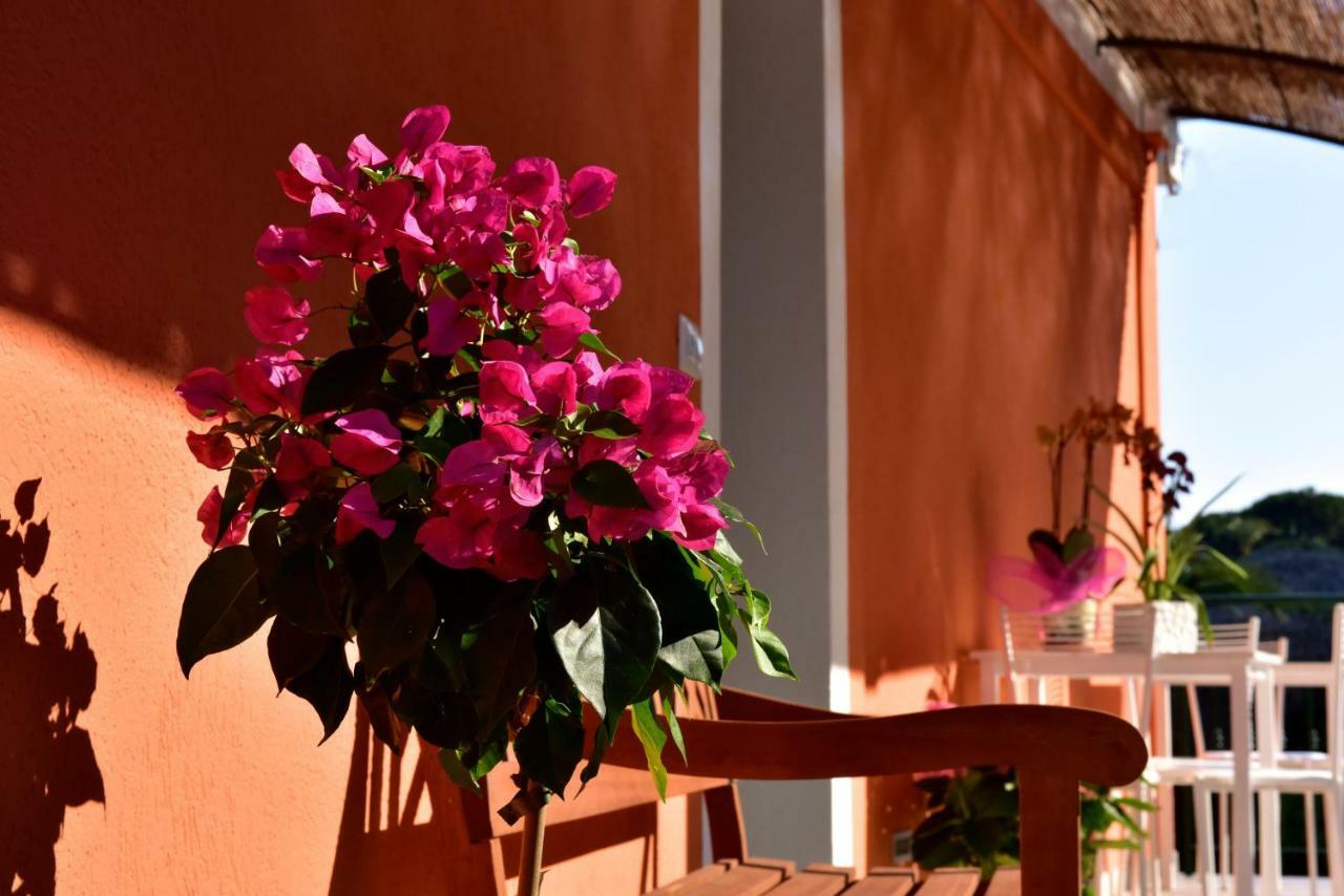 Agriturismo Un Mare Di Fiori Ventimiglia Exteriör bild